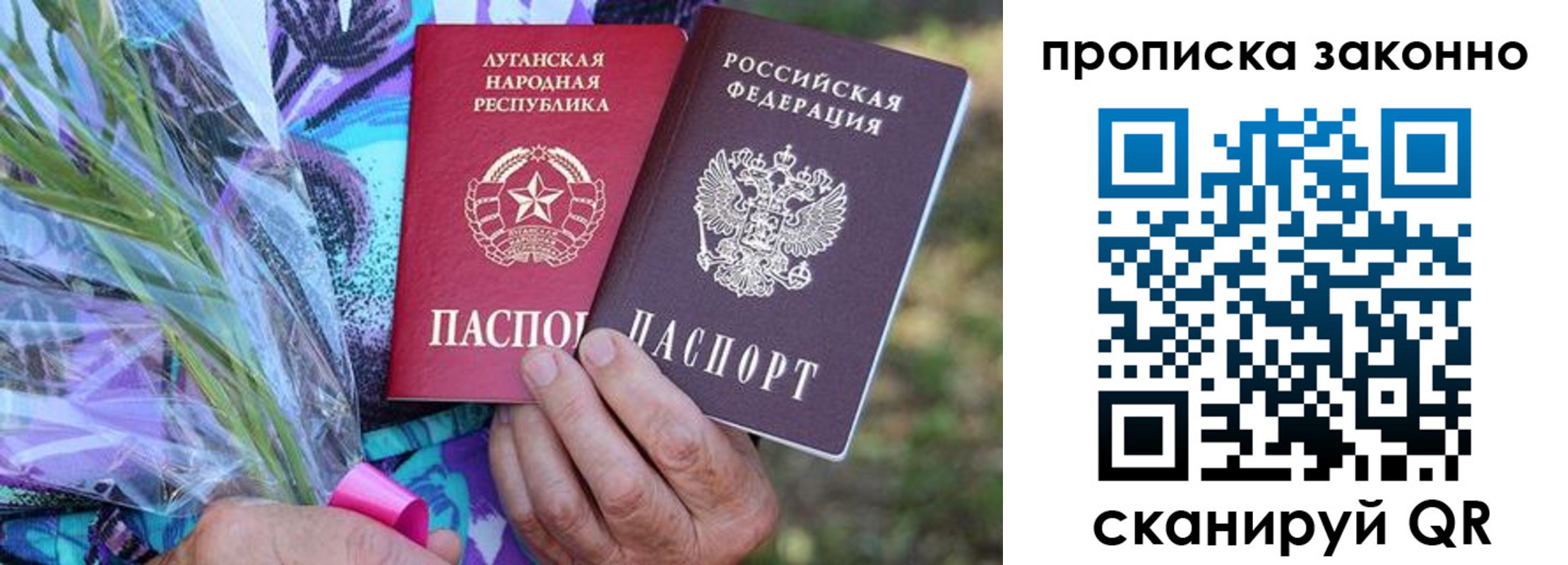 прописка для школы в Данкове